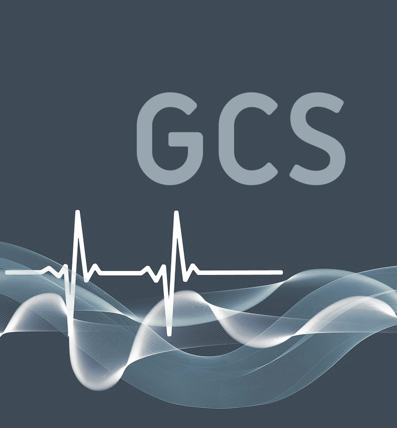 ecg2-1